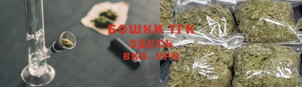 хмурый Дмитриев