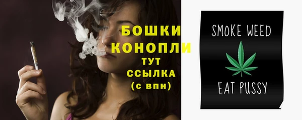 хмурый Дмитриев