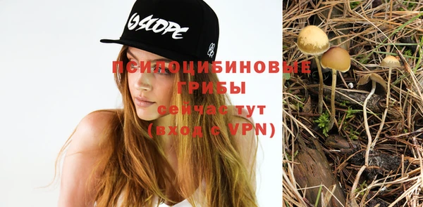 эйфоретик Нестеровская