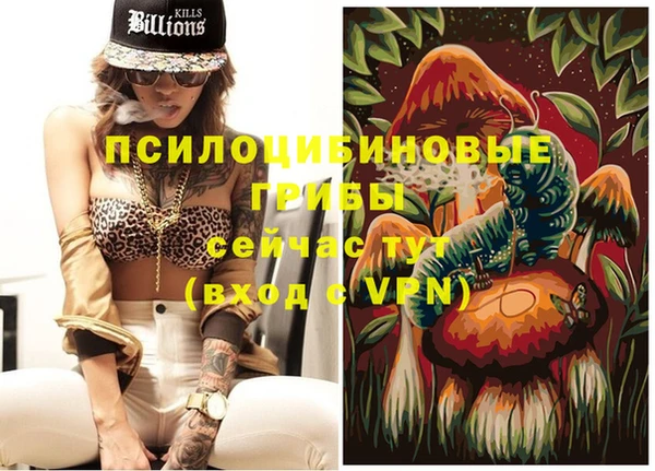 хмурый Дмитриев