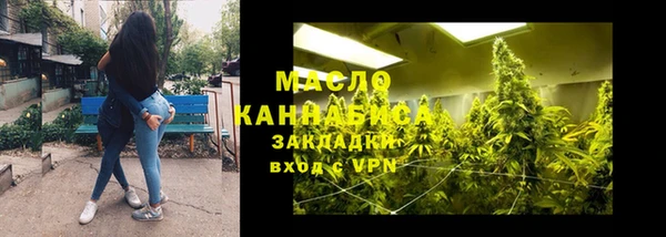 хмурый Дмитриев