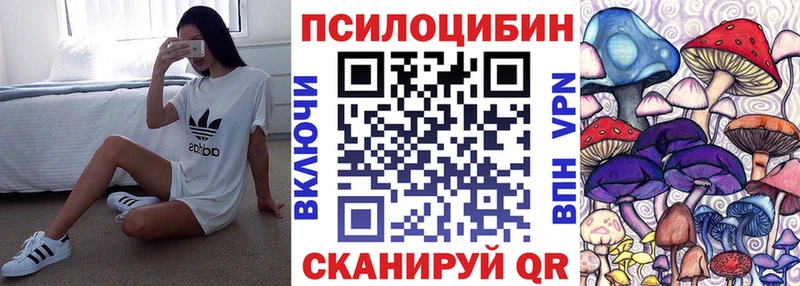 Галлюциногенные грибы Psilocybe  Обоянь 
